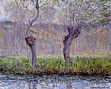 Willows in Spring